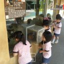 외남초교병설유치원 이미지