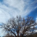 반계2리마을회관 이미지