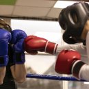 샤크 멀티짐 이미지