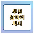 부천약품 | 부천 날파리 퇴치 소독 방역 작업 진행 후기(feat. 업체 추천!)