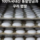 정잔기지떡