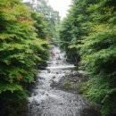 성주산자연휴양림 이미지