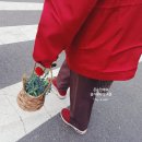 참약사 우리가족약국 이미지