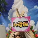 콩이네 멍냥 수제간식 이미지