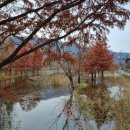 신대박PC 이미지