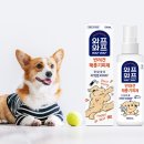 와플랑 - 성남시 분당구 판교역로14번길 15 | 와플랑
