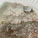 배방읍 모산로126번길 | 배방 간식 :) 잉어빵붕어빵 천안옛날호두과자 파스텔베이커리소금빵