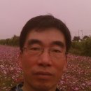 무영공인중개사사무소 이미지