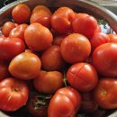 토마토당구장 이미지