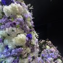 류 홀24시 할인마트 | 인천 웨딩홀 투어 후기 - 에스칼라디움 계약 후기