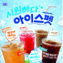 아이스+펫 이미지
