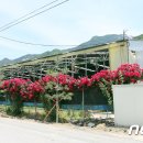 조령농장 이미지