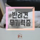 참누리환경 | 기력이 없는 강아지/시흥은행동동물병원 참누리동물병원