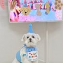 뷰티펜션 이미지