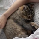 홍성고기마을 - 당진시 버그내2길 128-25 | 홍성고기마을