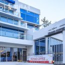 파니아토 이미지