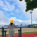 다대레포츠광장 인조잔디족구장 네이버블로그