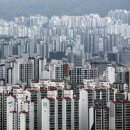 강남e부동산 공인중개사사무소 이미지