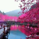 헤어카페 이미지