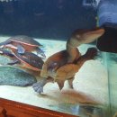 충전하우스 이미지