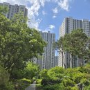 롯데캐슬아파트경로당 | 다산 롯데캐슬 아파트 소개 (임장 후기)