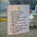 옐로우레빗츠 이미지