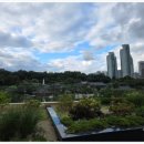 WOW휘트니스클럽 이미지