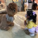 에이코스 | 파주 아이랑 가볼만한곳 파주데이트 코스 파주놀거리 테이블에이 파주점 후기