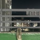 홍단이 삼겹살 이미지