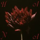 HANA (B-RAVE) - ROSE [가사/해석/발음] "추악한 세상 속에서도 진흙투성이라도 피어난 꽃"