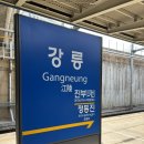 바다 그리고 달 | 부산에서 강릉 KTX이음 기차 정보 바다뷰 우등실 후기