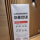 스카이 P.P 이미지