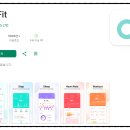 301핏(FIT) Daum카페