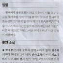 두부세상 Daum카페