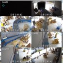 (주)씨앤아이정보통신 이미지