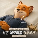 가렌 | 거북목, 일자목 베개 찾다가 본 '슬립퍼' 경추베개 솔직 후기 [리뷰하는 제프]