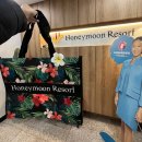 씨유무의점 | [Wedding 06] 발리 신혼여행 예약 후기 (허니문 리조트/포시즌스/파드마/포포인츠)