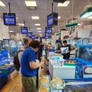 세계문학기행 | 감도의 일기 (9/1~9/7)