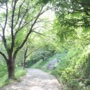 구덕운동장 이미지