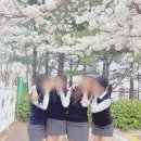 주주아