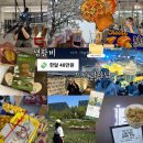 세븐일레븐 대구온누리점 | 4월 절약일상 생활비 48만원으로 살아남기