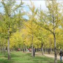 나무랑숲 이미지