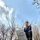 호계길 티스토리