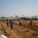 김용제 농장 이미지