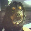 꽃님이네 이미지