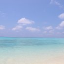 반딧불이 호텔 | 코타키나발루반딧불투어후기 만따나니 투어 스노클링 반딧불이