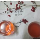 가을을 음미하며 건강에 좋은 한방 차(茶) 이미지