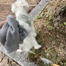 말바우동물병원 이미지