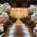 뮤지컬웨딩 이미지