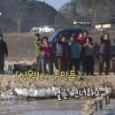신월1리 이미지